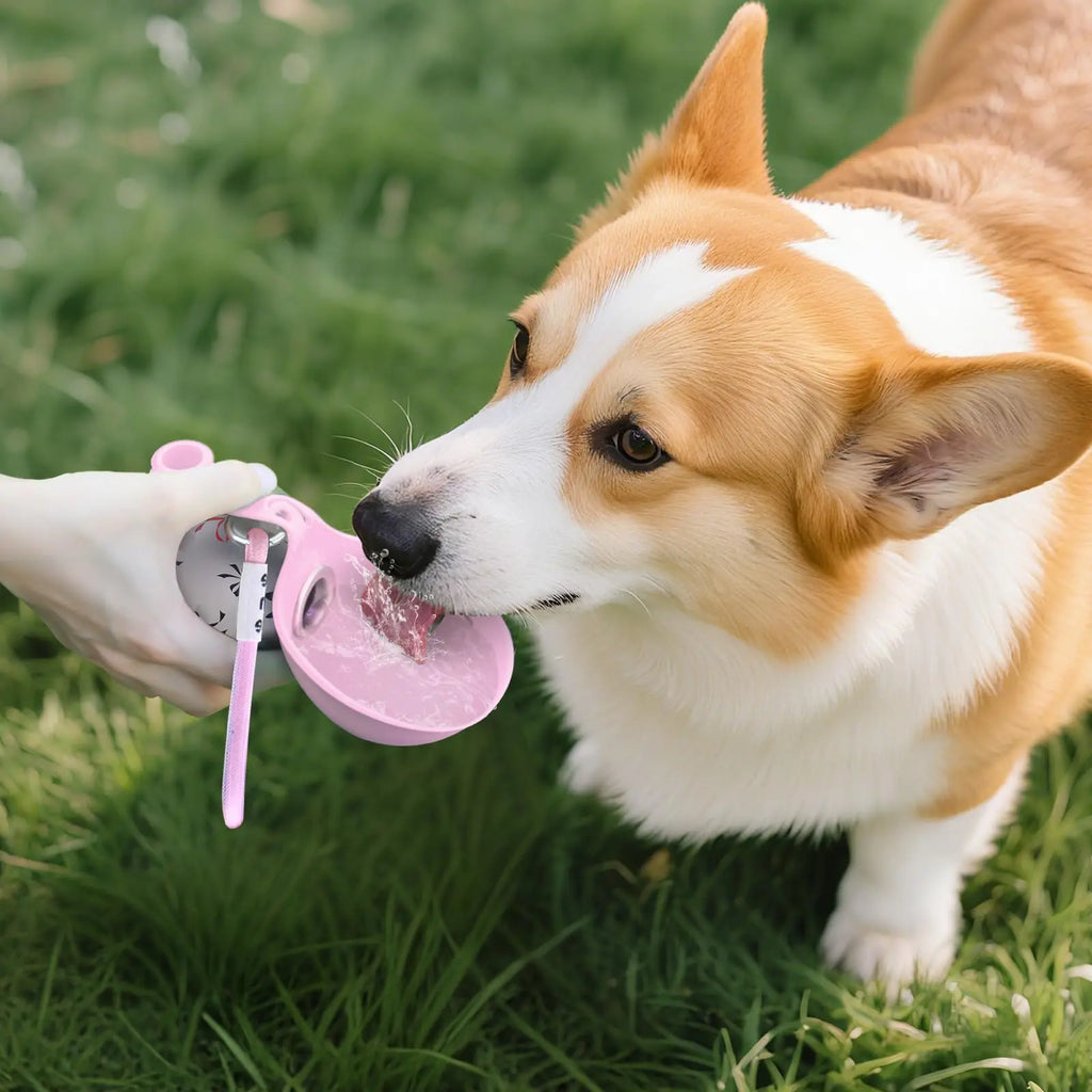 Stainless Steel Dog Water Bottle with Fold-Out Bowl