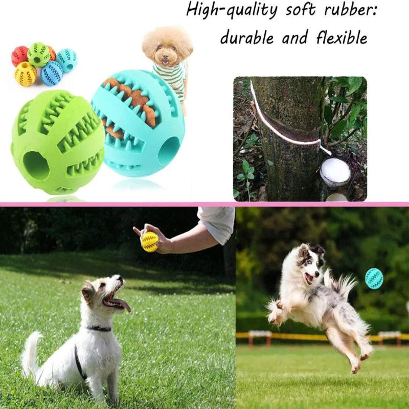 Interactive Nontoxic Bite Resistant Silicone Dog Toy Ball for Puppy Chewing, Tooth Cleaning &Pet Food Treat Feeder – Cats Dogs